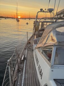Calidris Alba with an Itchenor sunset