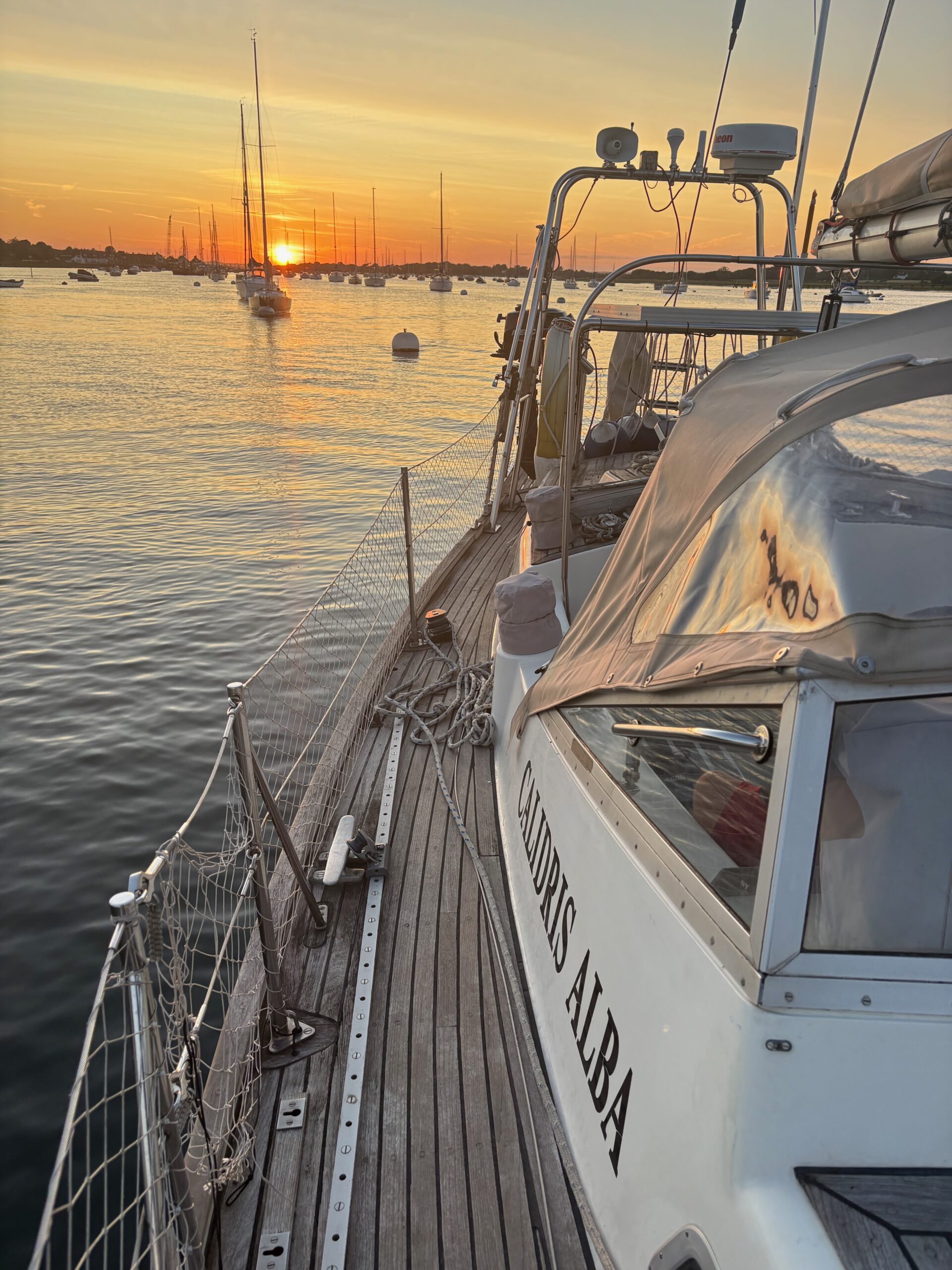 Calidris Alba with an Itchenor sunset