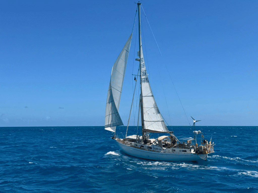 Introduction to Calidris Alba – Rival 41 CC