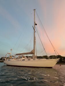 Viewing Calidris Alba from the water